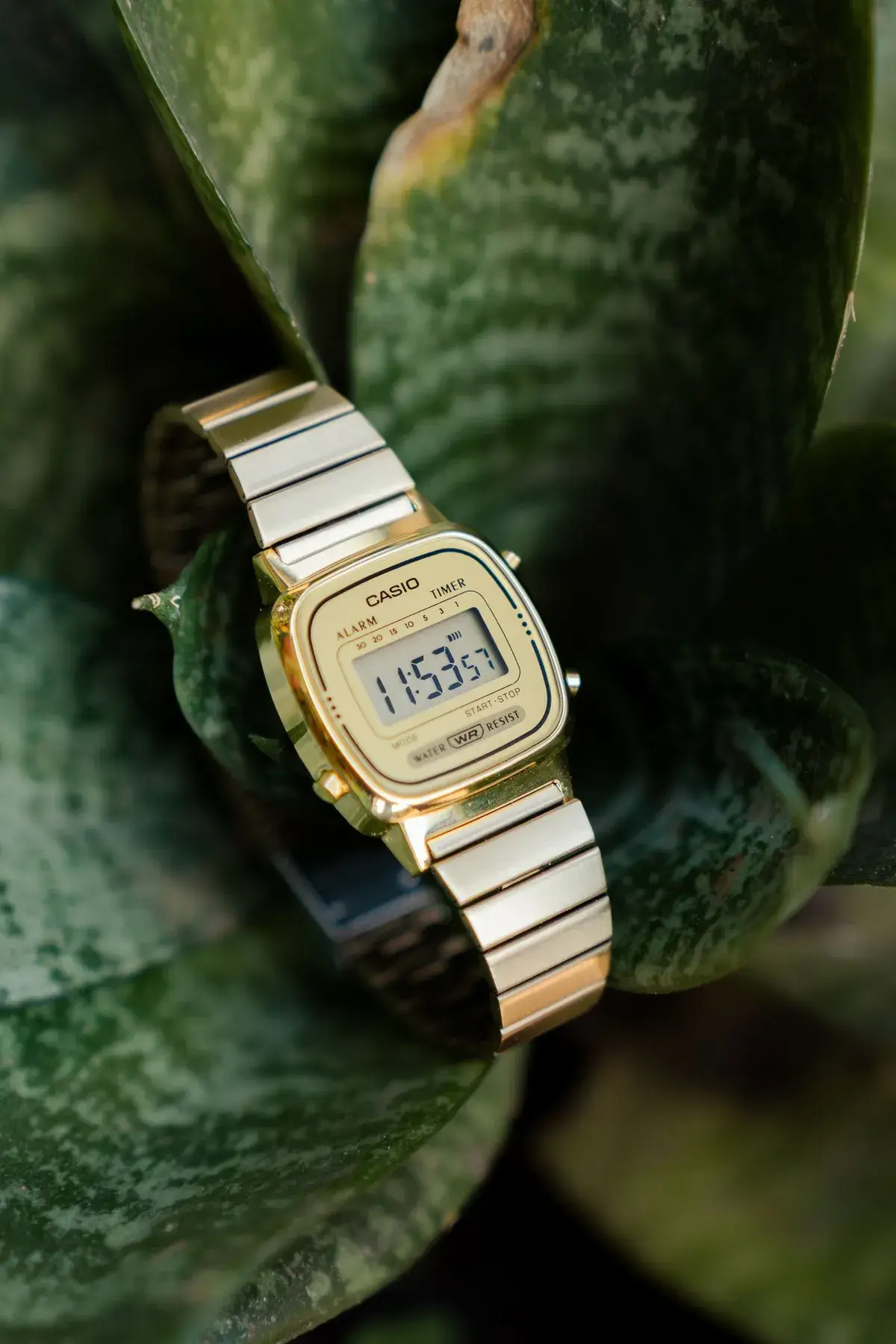 Reloj digital dorado pequeño con correa de acero, apoyado entre hojas verdes